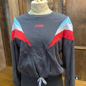 Levi's Colorblock Sweatshirt